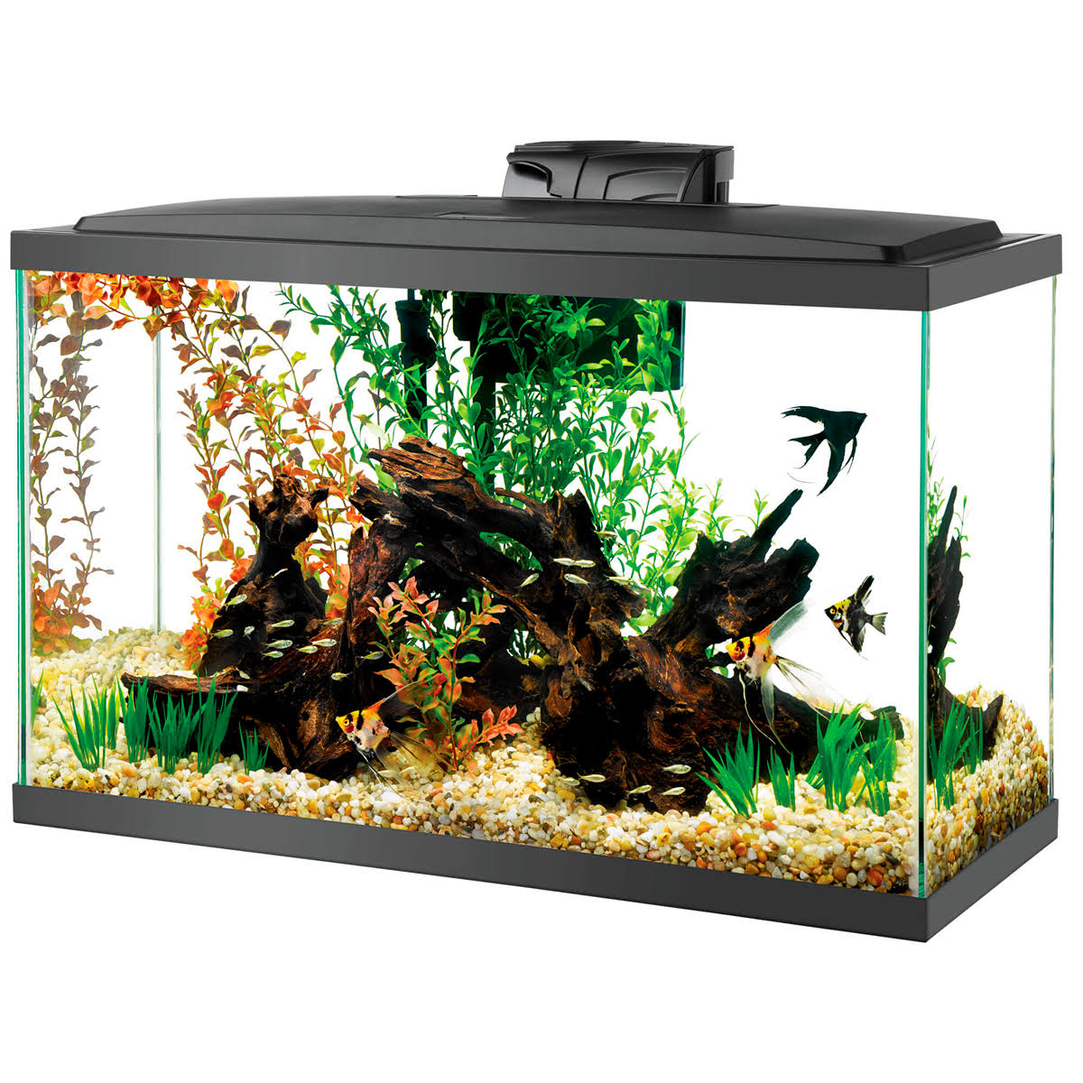 Led Aquarium Kit - 29 Gal