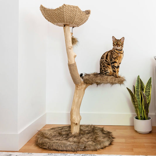 Lifestyle Uni Cat Tree