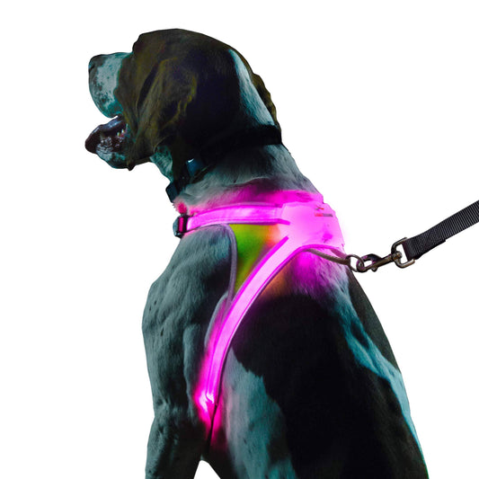 Lighthound Led Illuminated & Reflective Dog Harness, Small