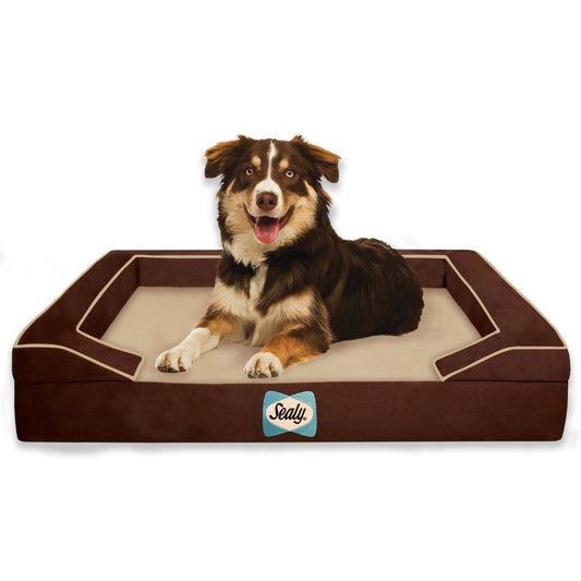 Lux Premium Orthopedic And Memory Foam Dog Bed Navy - Small