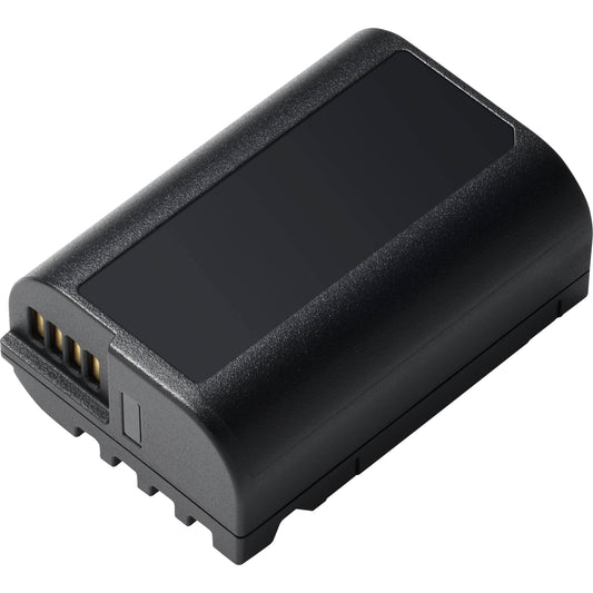 Lumix Lithium-Ion Battery Pack Dmw-Blk22