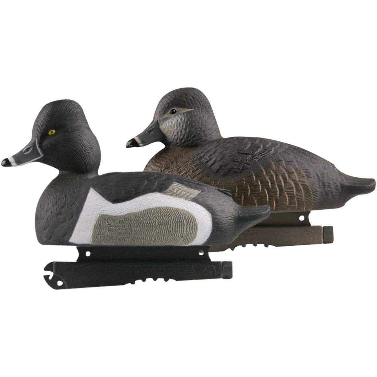 Life Size Ring-Necked Duck Decoys 6 Pack