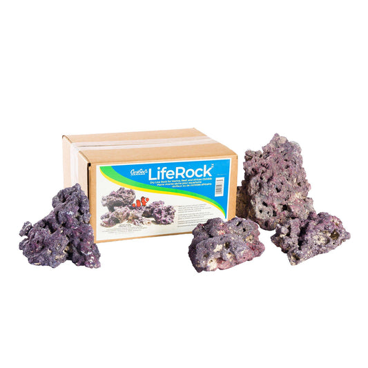 Liferock Original 10 Lb