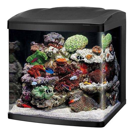 Led Biocube Aquarium